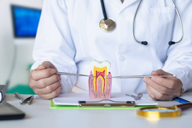 Professional Emergency Dentist in MO